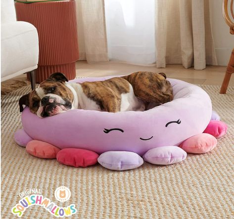 Squish Mallows, Small Pet Bed, Dog Cots, Litter Tray, Pet Bag, Dog Pet Beds, Pet Feeder, Pet Life, Sleeping Dogs