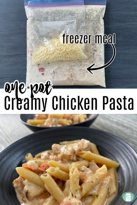 Experience less dishes but more taste with this One Pot Creamy Chicken Pasta. #freezermeals101 Freezable Pasta Sauce, Chicken Pasta Freezer Meal, Pasta Freezer Meals, Meals Postpartum, Chicken Pasta Sauce, Pregnancy Freezer Meals, Freezer Casseroles, Monthly Meals, Freezing Chicken