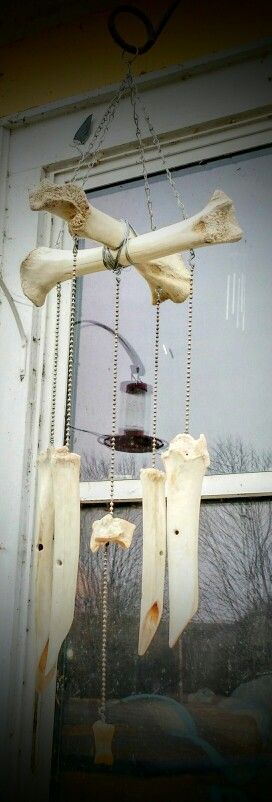 Moose bone wind chime i made Deer Bone Wind Chime, Bone Mobile Wind Chimes, Bone Chandelier Diy, Bone Wind Chime Diy, Diy Bone Decor, Crafts With Animal Bones, Animal Bone Wind Chime, Bone Carving Patterns, Cow Bone Crafts