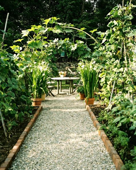 Nature's Nurture: In The Garden With Deborah Needleman — Lonny Shed Inspiration, English Garden Design, Gravel Path, Path Design, Gravel Garden, Garden Design Layout, Secret Gardens, Backyard Garden Design, Garden Path