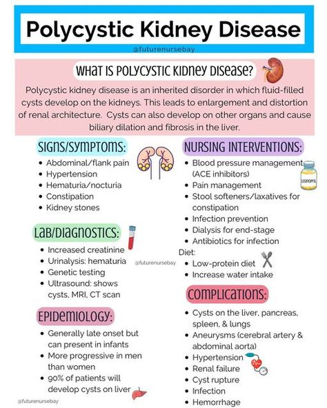 Kidneys Nursing, Polycystic Kidneys, Foot Reflexology Massage, Kidney Pain, Nursing School Essential, Nursing School Motivation, Nurse Study Notes, Infection Prevention, Medical School Studying