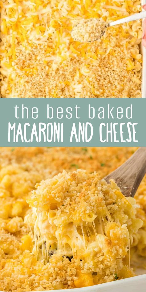 How To Make Baked Macaroni And Cheese, Bread Crumb Topping Casseroles, Homemade Mac And Cheese Recipe Baked Bread Crumbs, Baked Mac And Cheese Recipe With Bread Crumbs, Mac And Cheese With Bread Crumb Topping, Mac And Cheese With Crumb Topping, Baked Mac N Cheese With Bread Crumbs, Diy Macaroni And Cheese, Mac And Cheese Bread Crumb Topping