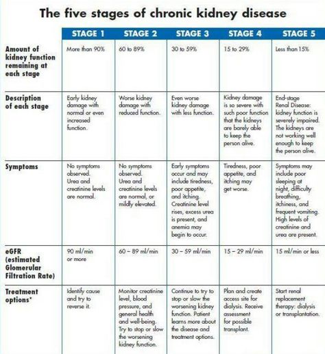 1/30/17 . . . consulted a nephrologist today regarding my elevated creatinine levels. I found out I've been Stage 2 for over a year. Recent lab tests put me in Stage 3. Hopefully further tests will figure out the cause. Nursing Information, Polycystic Kidneys, Kidney Diet, Renal Diet, Chronic Kidney, Nursing Tips, Kidney Health, Nursing Notes, Medical Knowledge