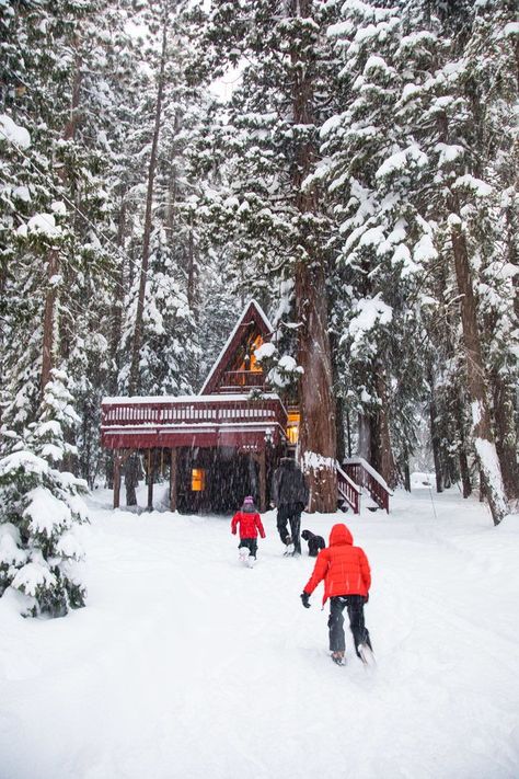 Snowy Days Spent in the Lake Tahoe Area #Tahoe #LakeTahoe #Reno #Nevada #California #Lake #vacation #family #vacay #trip #staycation #roadtrip #america #bestplaces #prettyplaces #instagrammable #snow #skiing #snowboarding #swimming #boating #hiking #nature #wheretogo #wanderlust #photography #tourism #summer #winter #explore America Snow, Tahoe Snow, Lake Tahoe Cabin, Tahoe Winter, Snow Fort, Tahoe Trip, December Christmas, Winter Beach, Happy December