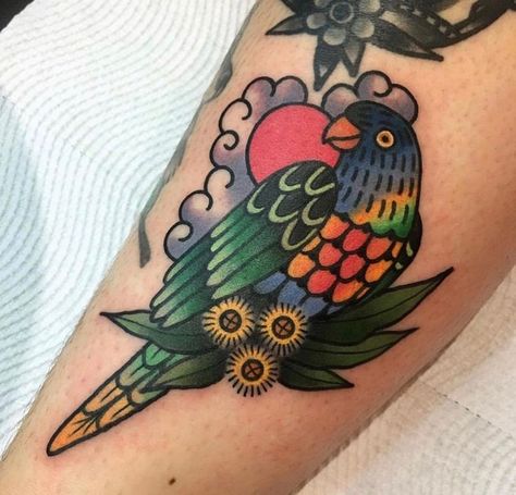 Lorikeet Tattoo, Old School Parrot Tattoo, Traditional Macaw Tattoo, Things To Tattoo, Neo Traditional Kingfisher Tattoo, Rainbow Lorikeet Tattoo, Rainbow Lorikeet, Australian Flora, My Favourite Things