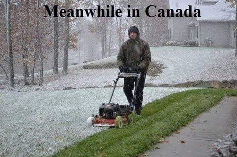 Friday Funny Pictures, Meanwhile In Canada, Rhode Island History, Lawn Mowing, Memes Hilarious, Friday Humor, Pictures Of The Week, Hilarious Memes, Laugh Out Loud