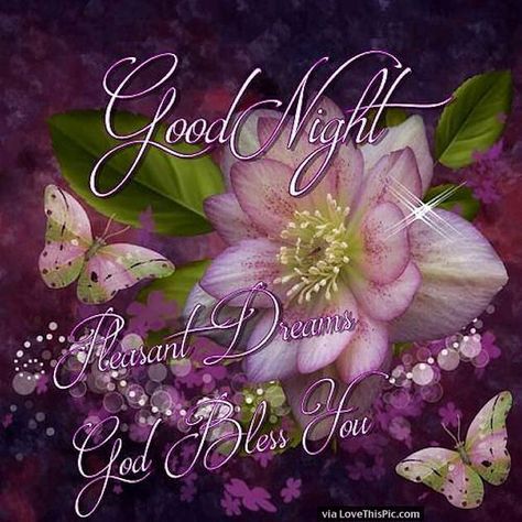 Good Night Meme, Pleasant Dreams, Good Night Sweetheart, Good Night All, Good Night Prayer Quotes, Beautiful Good Night Quotes, Night Pics, Good Evening Greetings, Beautiful Good Night Images