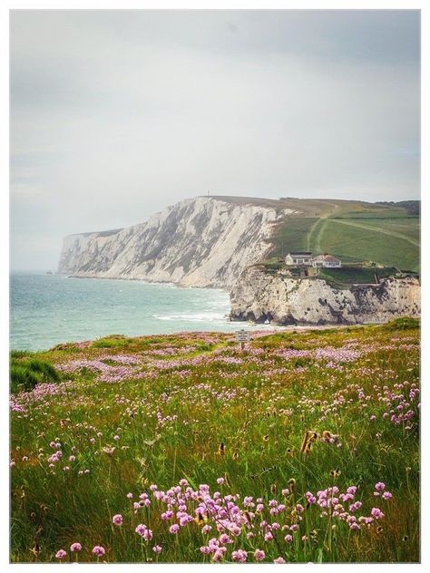 England Nature Aesthetic, Southampton England Aesthetic, English Coast Aesthetic, English Beach Aesthetic, English Seaside Aesthetic, South England Aesthetic, Isle Of Wight Aesthetic, England Countryside Aesthetic, Cliff Photography