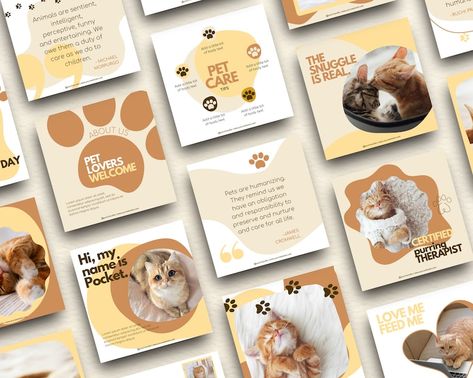 Buy Pet Instagram Templates Canva Pet Canva Templates Pet Online in India - Etsy Dog Instagram Feed, Pet Instagram, Dog Template, Pet Branding, Cat Instagram, Social Media Branding Design, Instagram Theme Feed, Modern Pet, Service Animal