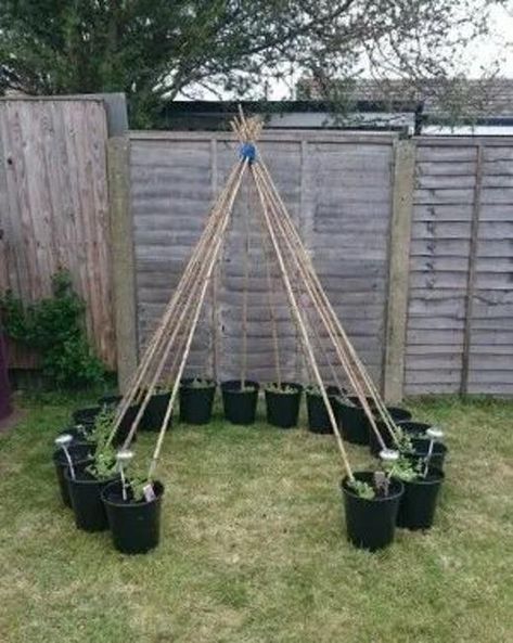 33 DIY Arbors, Trellises, Garden Obelisks for Climbing Plants, Creative Recycling for Yard Decorations Garden Ideas To Make, نباتات منزلية, Diy Raised Garden, Raised Garden Beds Diy, Garden Makeover, Veg Garden, Backyard Diy Projects, Kraf Diy, Vegetable Garden Design