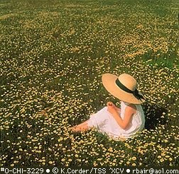 Sitting in a field of flowers Girl In Flower Field, Girl In Field, Sitting In A Field, Backpack Drawing, Body Gestures, Woman Laying, A Field Of Flowers, Field Of Flowers, Person Sitting