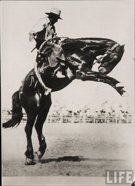 Old Cowboy Photos, Open Sinuses, Western Pics, Sun Printing, Cowboy Photography, Cowboy Romance, Rodeo Cowboys, Cowboy Horse, Spaghetti Western