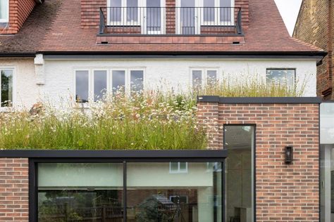 Walled Courtyard, Smooth Concrete, Living Roofs, Arts And Crafts House, Rear Extension, London House, Natural Ventilation, The Courtyard, Courtyard House