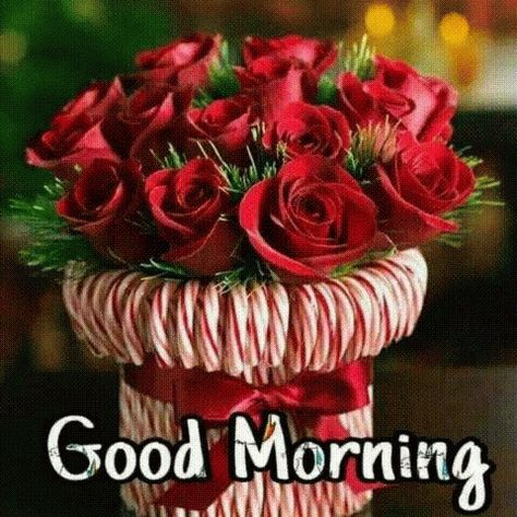 Good Morning Flowers GIF - GoodMorning Flowers - Discover & Share GIFs Candy Cane Vase, Easy Holiday Decorations, Christmas Tablescape, Diy Christmas Decorations, Jumma Mubarak, Simple Holidays, Christmas Centerpieces, Decoration Christmas, Christmas Table Decorations