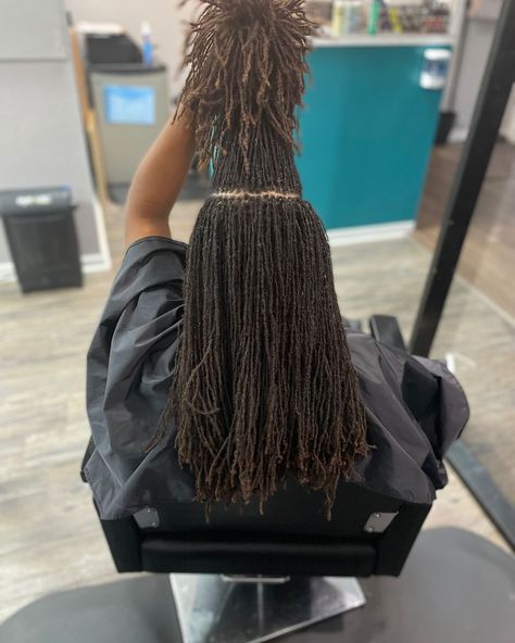 Locs Journey, Natural Image, Sisterlocks Styles, Locs Styles, Loc Inspiration, Micro Locs, Leopard Style, Beautiful Dreadlocks, Dreadlock Style