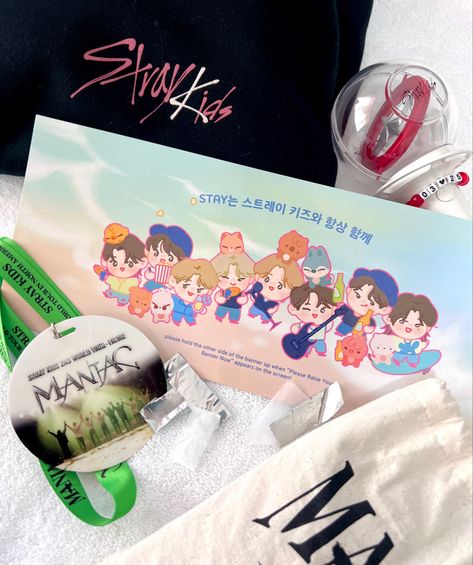 Concert Freebies, Stray Kids Concert, Kids Memories, Stray Kids, Vision Board, Concert