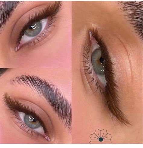 Brown Eyelashes, Lashes Fake Eyelashes, Eyelash Salon, Lash Extensions Makeup, Cat Eye Lash, Lash Extensions Styles, Perfect Eyelashes, Natural Eyelash Extensions, Eyelash Extentions