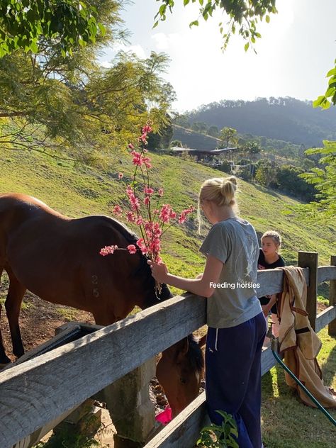 Emma Neilsen (@emma.neilsen333)’s video of Dream House | TikTok Emma Neilsen, Date Activities, Sea To Shining Sea, Countryside House, Cute Horses, Joy Of Life, Horse Life, Dream Lifestyle, The Grove