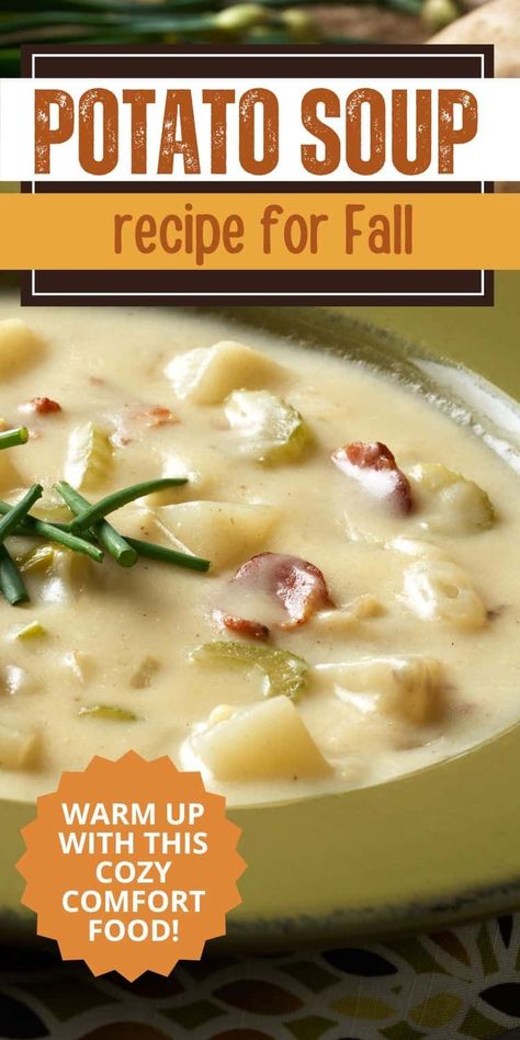 Cozy up this fall with a delicious homemade potato soup! 🥔🍂 This creamy, hearty recipe is packed with flavor and perfect for chilly days. Easy to make and great for meal prep, it’s the ultimate comfort food. Serve it with crusty bread for a warming meal that everyone will love! Potato Soup With Sweet Potatoes, Golden Potato Soup Recipes, Potato Zucchini Soup, Fall Potato Soup, Best Potato Soup Recipes Ever, Easy Homemade Potato Soup, Creamy Fall Soup Recipes, Red Potato Soup Recipes, Potato Soup Recipes Homemade