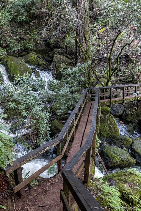 footbridge Bay Area Hikes, California Waterfalls, Mount Tamalpais, Waterfall Hike, Marin Headlands, Stinson Beach, California Hikes, Famous Waterfalls, Bay Area California