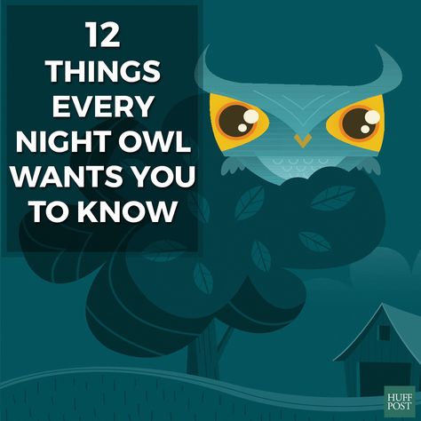 12 Things Every Night Owl Wants You To Know Night Owl Study Routine, Quotes About Night, Night Owl Quotes, Owl Quotes, Buddhist Wisdom, Wednesday Quotes, Night Owls, Owl Pattern, Sleep Health