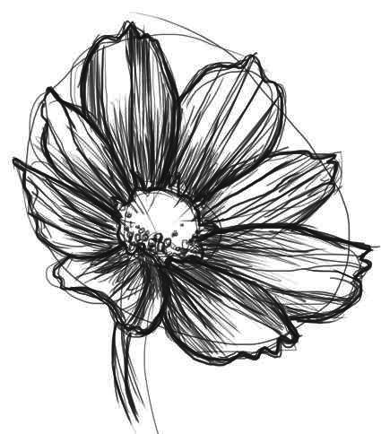 Detailed Flowers Drawings, Flowers Pen Drawing, Daisy Sketch Simple, Daisies Sketch, Flower Sketches Simple, Pen Flower Drawing, Daisies Drawing, Flower Pen Drawing, Daisies Tattoo