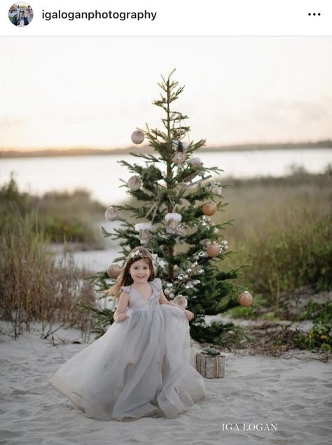 Christmas Beach Mini Sessions, Christmas Photo Beach, Christmas Beach Photoshoot, Christmas Beach Photos, Beach Christmas Pictures, Christmas Pictures Kids, Boho Photography, Beach Backdrop, Family Christmas Pictures