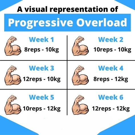 Progressive Overload Training Plan, Full Workout Plan, Arm Workout Men, Mens Body Types, Push Pull Legs, Progressive Overload, Gym Workout Guide, Workout Gym Routine, Bodybuilding Workouts Routines