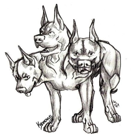 Cerberus Sketch, Instagram Projects, Skull Tattoo Design, Animals Art, Wolf Dog, Animal Sketches, Awesome Art, Fashion Illustrations, Art Drawings Sketches Simple