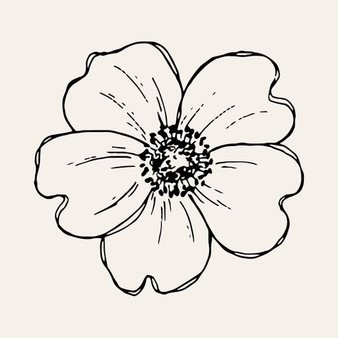 Basic Flower Drawing Simple, Simple Floral Drawing Ideas, Singular Flower Drawing, Flower Drawing Template, Large Flower Drawing, Flowers Outline Design, Outlines Of Flowers, Flower Lineart Simple, Drawing Traceable