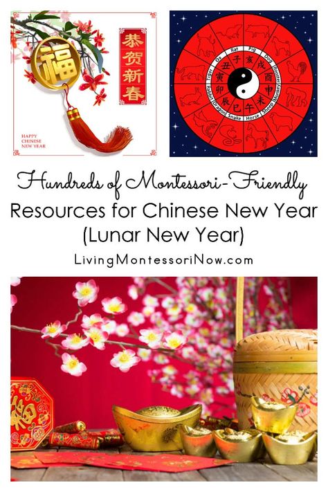 Lunar New Year Activities, Montessori Homeschool Preschool, Thematic Teaching, New Year Activities, New Years Song, Chinese New Year Activities, Montessori Lessons, Toddler Class, Montessori Homeschool