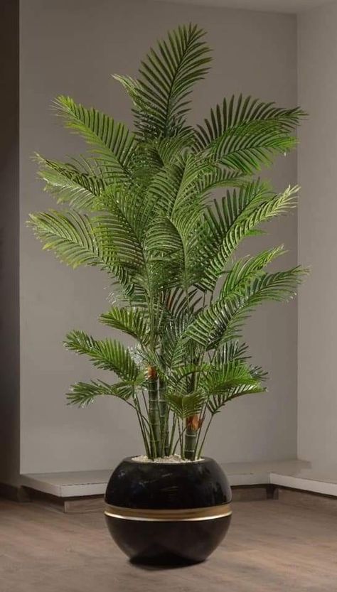 Big Vases Decor Living Room, Vases Decor Living Room, Big Indoor Plants, Roof Garden Design, Large Floor Vase, Florida Landscaping, Tropical House Plants, House Interior Design Styles, Courtyard Gardens Design