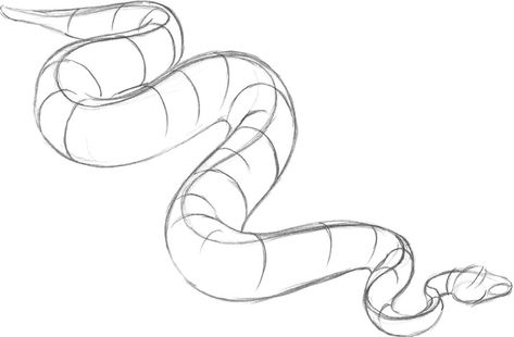 Python Drawing, Drawing Pets, Snake Sketch, Snake Illustration, Snake Drawing, Snake Tattoo Design, Snake Art, Learn Drawing, Anatomy Drawing