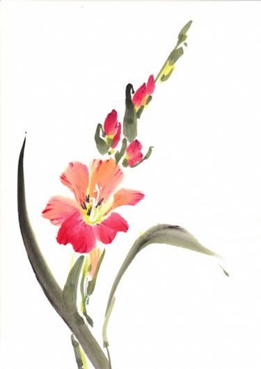 Hibiscus Watercolor, Watercolor Beautiful, Gladioli, Chinese Brush Painting, Asian Painting, Beautiful Water, Loose Watercolor, Watercolor Flower Art, 수채화 그림