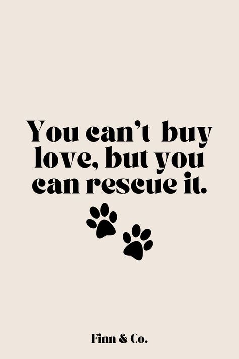 rescue dog quote for adopting shelter dogs Shelter Dog Quotes, Rescue Dog Quotes, Animal Rescue Quotes, Rescue Quotes, Is It Really Worth It, Animal Lover Quotes, Dog Mom Quotes, Adoption Quotes, Colorful Hairstyles