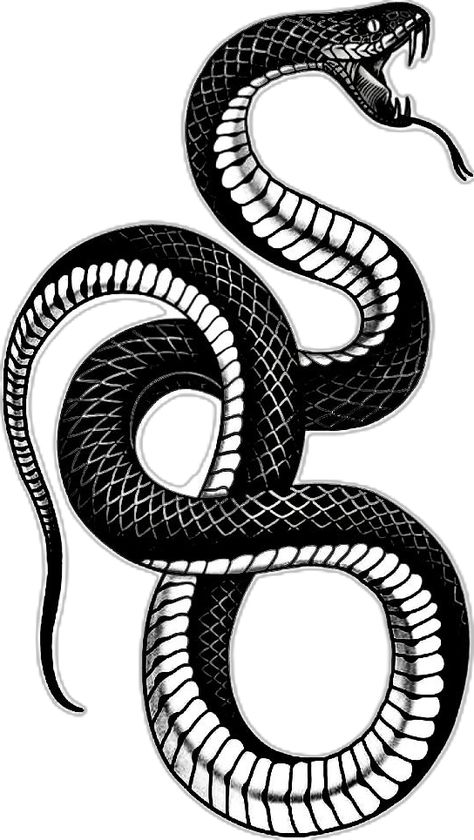 Cobra Head Tattoo Design, King Cobra Tattoo, First Time Tattoos, Cobra Tattoo, Rock Tattoo, King Cobra, Minimalist Tattoos, Spine Tattoo, Monochrome Design