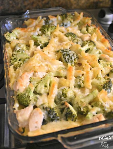 Broccoli Alfredo Pasta Bake, Chicken Broccoli Alfredo Casserole, Chicken Broccoli Alfredo Bake, Broccoli Alfredo Bake, Chicken Broccoli Alfredo Pasta, Fetuccini Alfredo, Broccoli Alfredo Pasta, Alfredo Pasta Bake, Alfredo Casserole