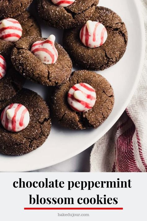 Chocolate Peppermint Blossom Cookies, Chocolate Peppermint Blossoms, Chocolate Peppermint Kiss Blossoms, Peppermint Blossom Cookies, Blossom Cookies Christmas, Chocolate Blossom Cookies, Peppermint Blossoms, Holiday Dessert Drinks, Cookies 2023