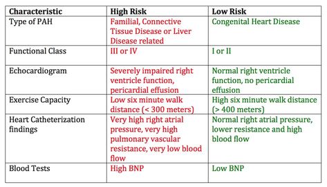 Pulmonary Arterial Hypertension Life Expectancy & Survival Rates Pulmonary Arterial Hypertension, Heart Catheterization, Atrial Septal Defect, Pulmonary Function Test, Pericardial Effusion, Cold Or Allergies, Lung Transplant, Oxygen Therapy, Congenital Heart