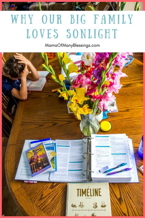 Sonlight Homeschool, Christian Homeschool Curriculum, Relaxed Homeschooling, Types Of Education, Christian Homeschool, High School Curriculum, Parenting Issues, How To Start Homeschooling, Homeschool Help