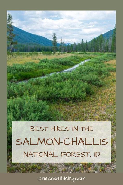 best hikes in the salmon-challis national forest, salmon-challis national forest, best trails in the salmon-challis national forest, best hiking trails in the salmon-challis national forest, salmon-challis forest hikes, Merriam Lake Trail salmon-challis forest, Bear Creek Lake Trail salmon-challis forest, Summit Creek Trail salmon-challis forest, Lower Cedar Creek Falls Trail salmon-challis forest, Kane Lake Trail salmon-challis forest, road trip essentials, hiking outfits, what to wear hiking Salmon Challis National Forest, Salmon Idaho, Idaho Vacation, Best Hikes, Day Hike, National Forest, Idaho, Outdoor Activities, Hiking