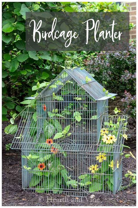 Reuse and recycle curbside trash into pretty things like this beautiful birdcage planter. #repurpose #birdcage #yardart #gardenart Bird Cages In The Garden, Bird Cage With Plants, Repurpose Bird Cage, Bird Cage Planter Ideas, Repurposed Bird Cage Ideas, Bird Cage Planter, Backyard Diys, Birdcage Planter, Indoor Gardening Supplies