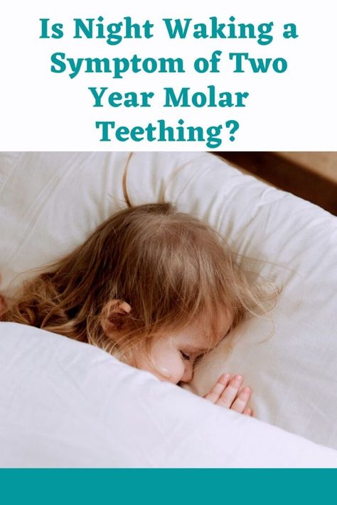 Is Night Waking a Symptom of Two Year Molar Teething? - Ice Cream n Sticky Fingers 2 Year Molars Teething Tips, 2 Year Molars, Embryo Adoption, Teething Symptoms, Teething Toddler, Referred Pain, Teething Remedies, Molar Tooth, Tooth Pain