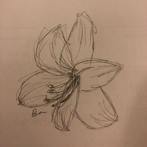 A messy sketch of an amaryllis Amaryllis Aesthetic, Earth Element Tattoo, Amaryllis Drawing, Element Tattoos, Amaryllis Tattoo, Tattoos Fire, Amaryllis Painting, Tattoos Water, Universe Tattoos