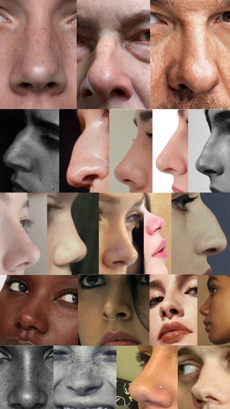 Reference material, real photos, noses Nose Types Reference, Drawing Different Noses, Nose Angles Reference Photo, Nose Drawing Anatomy, Nose Art Reference Photo, Different Noses Reference, Different Nose Drawing, Noses Reference Photo, Drawing Black Noses