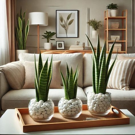 Living Room Decor Inspiration, 2x4 Furniture, Plant Decor Indoor, House Plants Decor, House Plants Indoor, Deco Floral, Home Design Decor, Diy Home Crafts, Diy Furniture Plans Wood Projects