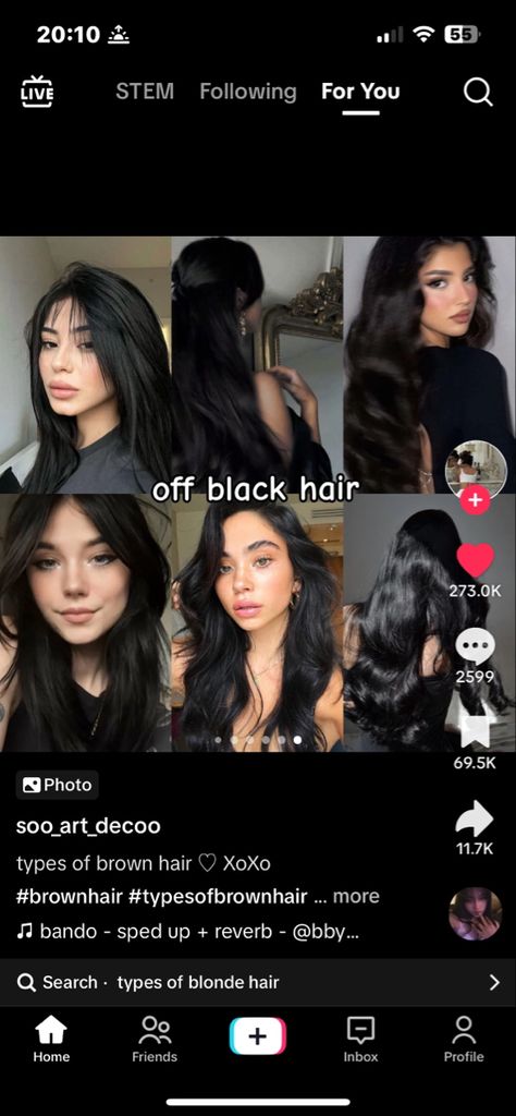 Dark Hair Colours For Pale Skin, Hair Color Ideas For Olive Skin Tone, Black Hair Tan Skin, Black Hair Olive Skin, Hair Color For Olive Skin Tone, Pink Undertone Skin, Types Of Brown Hair, Fair Olive Skin, Pale Skin Hair Color