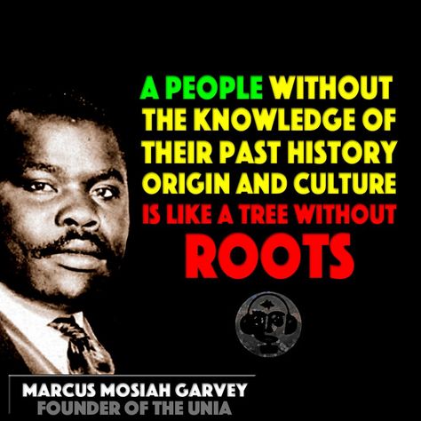 Baby Quail, Knowing Yourself, Pan Africanism, Marcus Garvey, Pan African, History Quotes, Unity In Diversity, United We Stand, The Orator