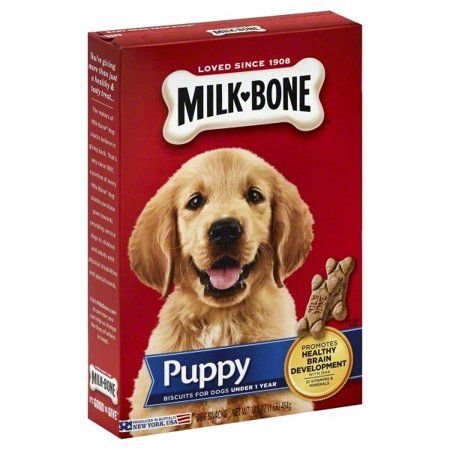 Puppy Development, Dog Teeth Cleaning, Puppy Treats, Beef Bones, Healthy Brain, Dog Bones, Dog Biscuits, Dog Teeth, Dog Snacks