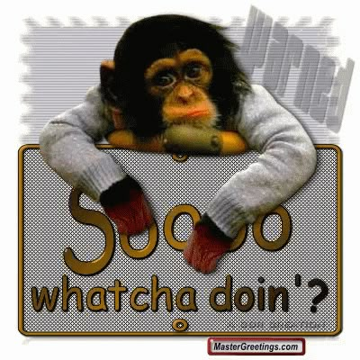 Monkey Gif, Very Funny Quotes, Hello Quotes, Whatcha Doin, Thinking Of You Quotes, Happy Day Quotes, Good Morning Funny Pictures, Animated Emoticons, Funny Good Morning